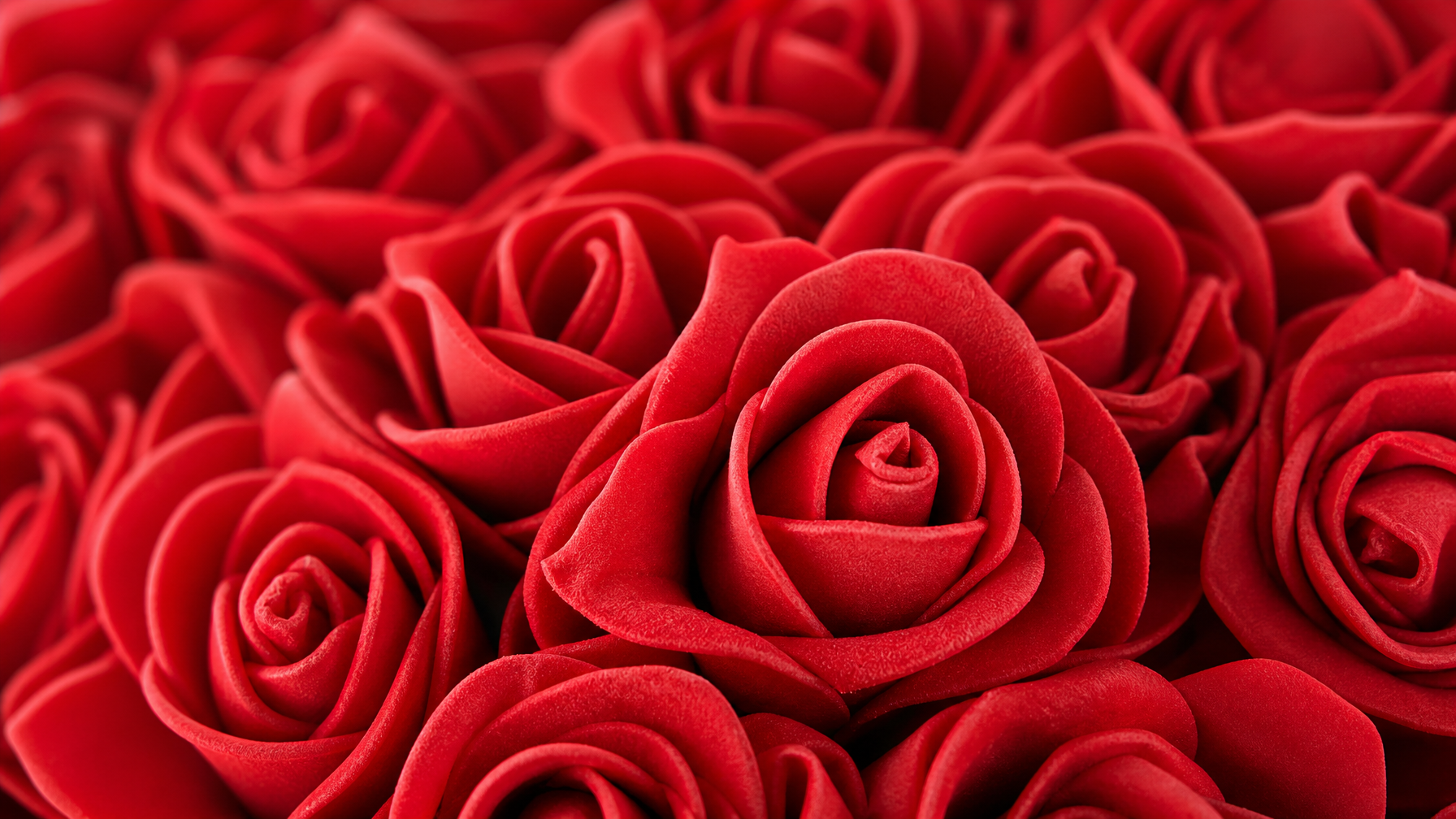 What Actually Is a Rose Bear?