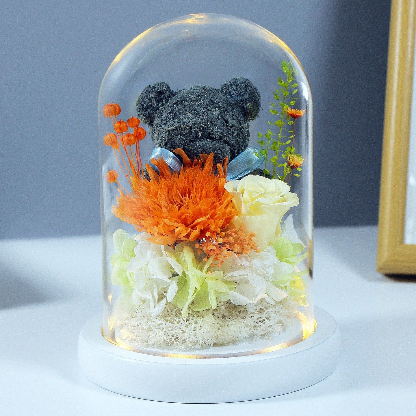Eternal Teddy Rose Dome