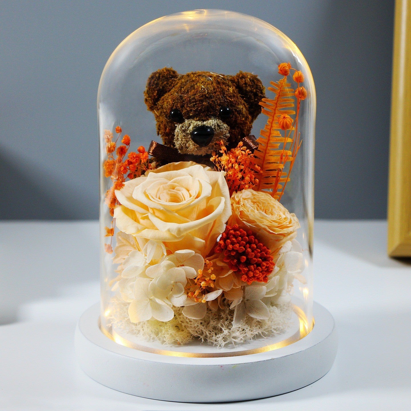 Eternal Teddy Rose Dome