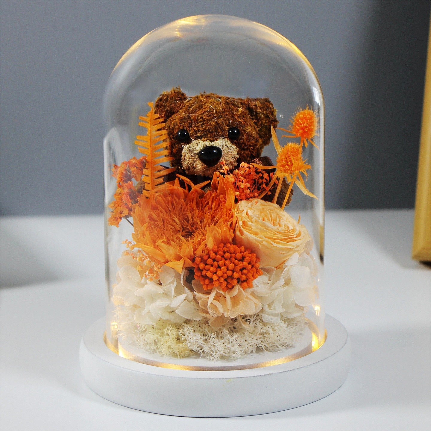 Eternal Teddy Rose Dome